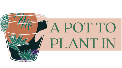 A Pot To Plant In Plant Shop