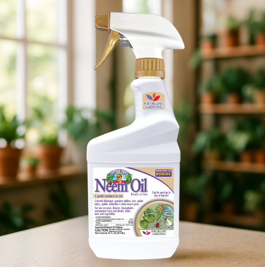 Bonide Neem Oil for Houseplants