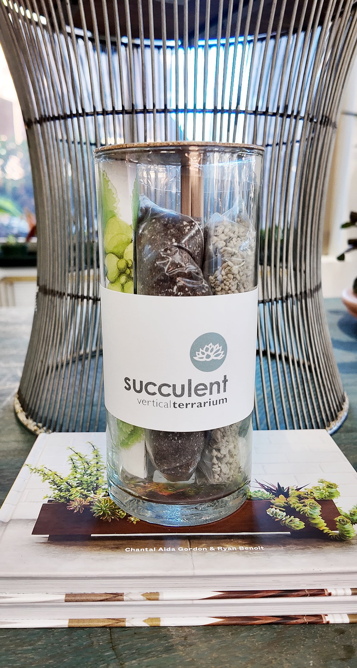 Vertical Succulent Terrarium - Great for Valentine!