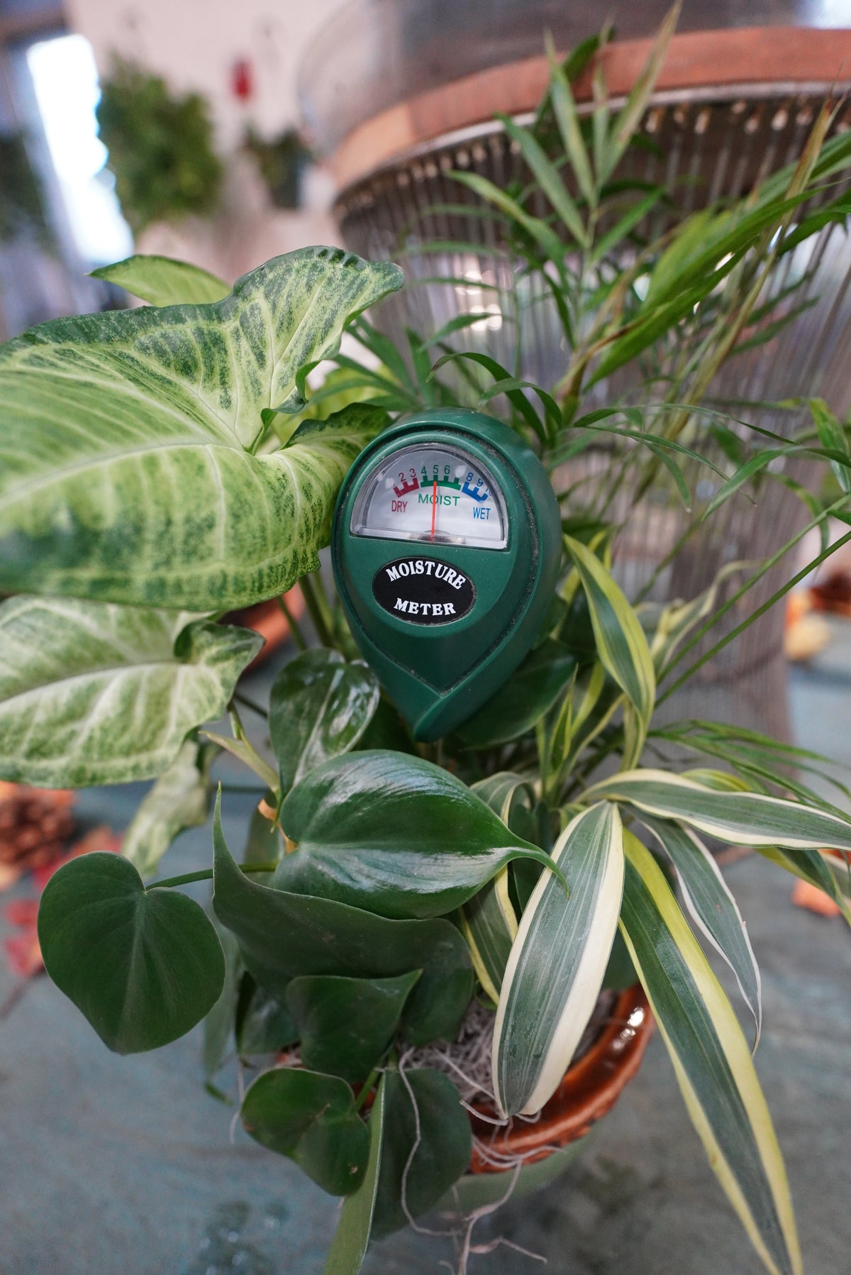 Moisture Meter