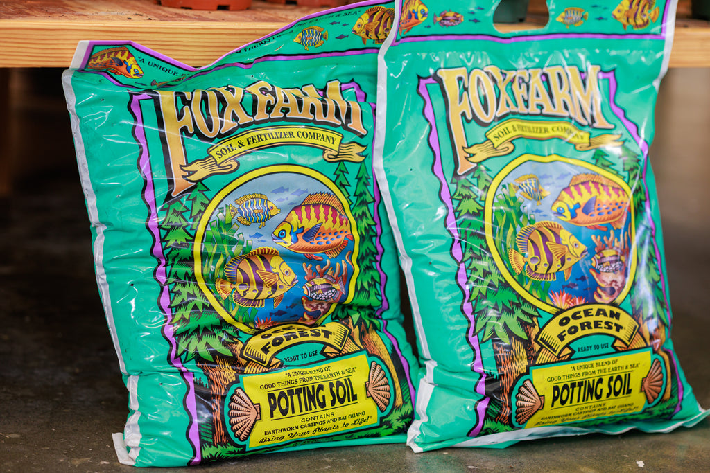 potting mix fertilizer Fox Farm Potting Soil 12qt