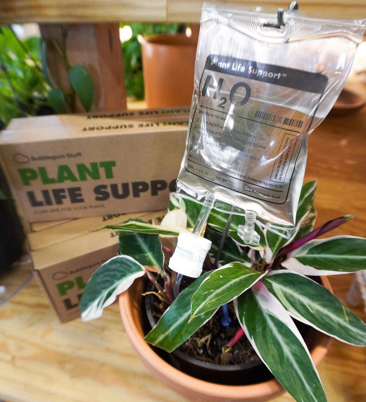 Plant Life Support