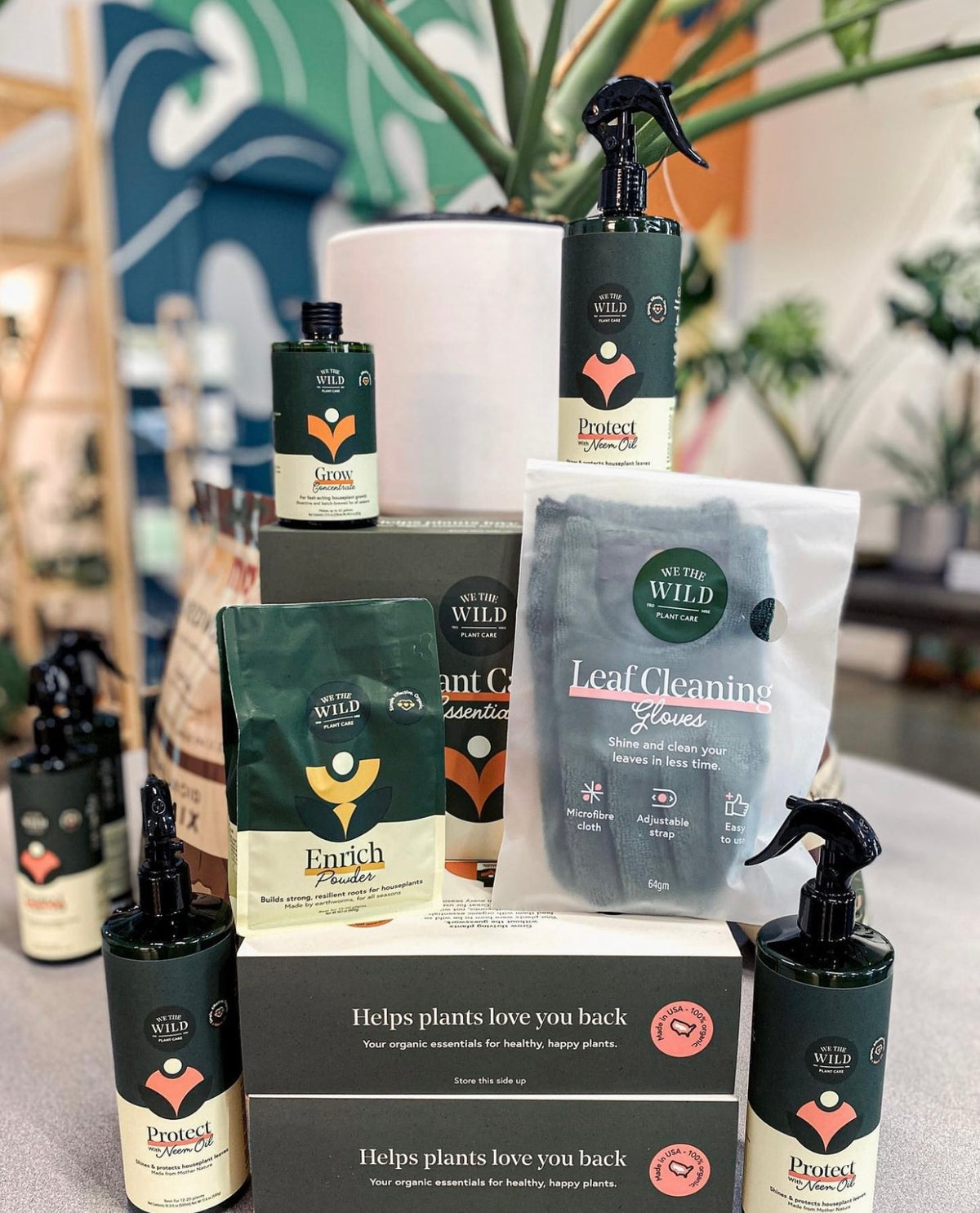 Plant Care Essentials Kit