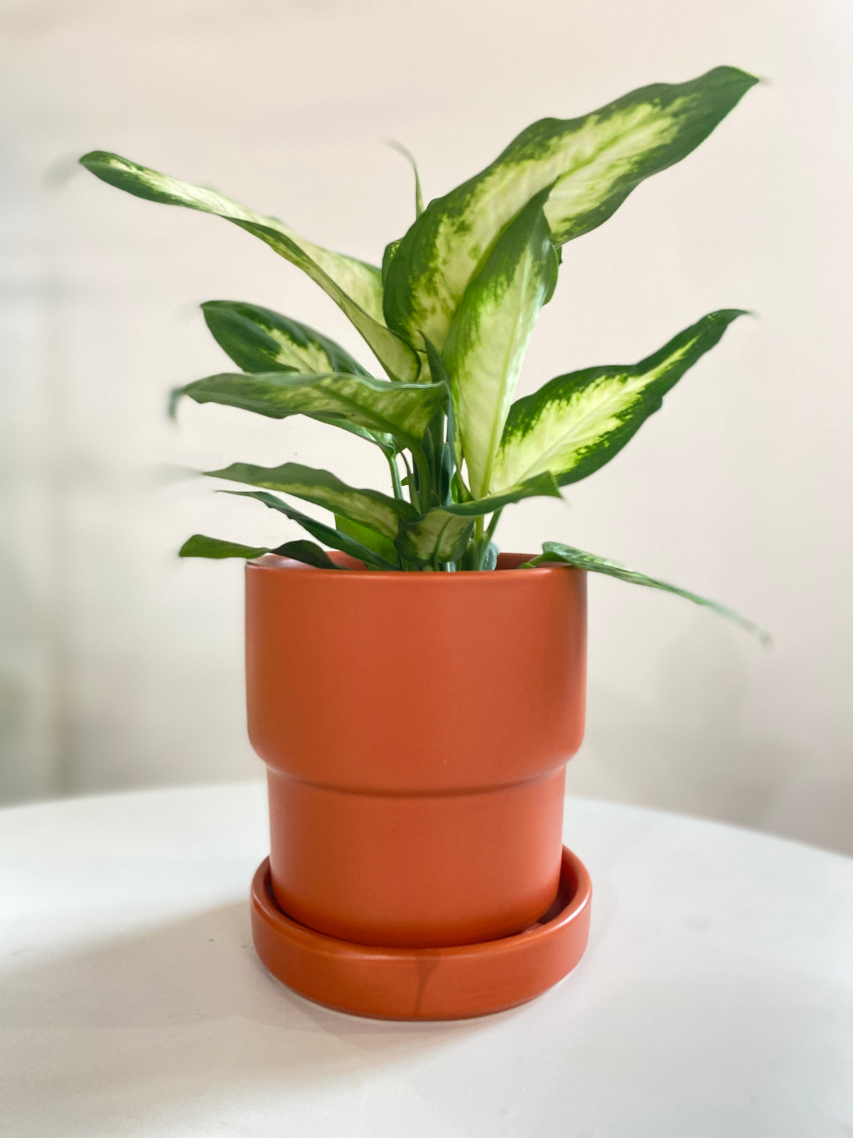 Orange Houseplant Pot
