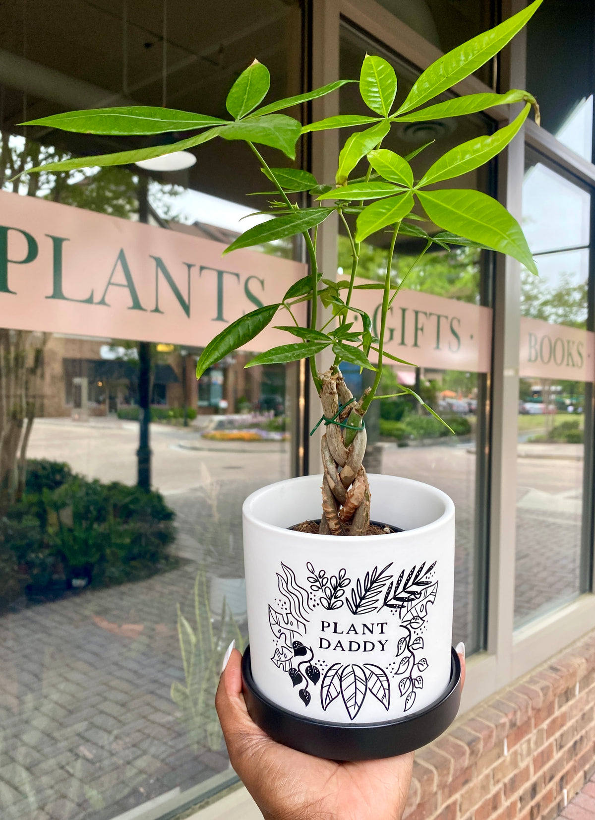 'Plant Daddy' Plant Pot