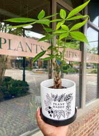 'Plant Daddy' Plant Pot