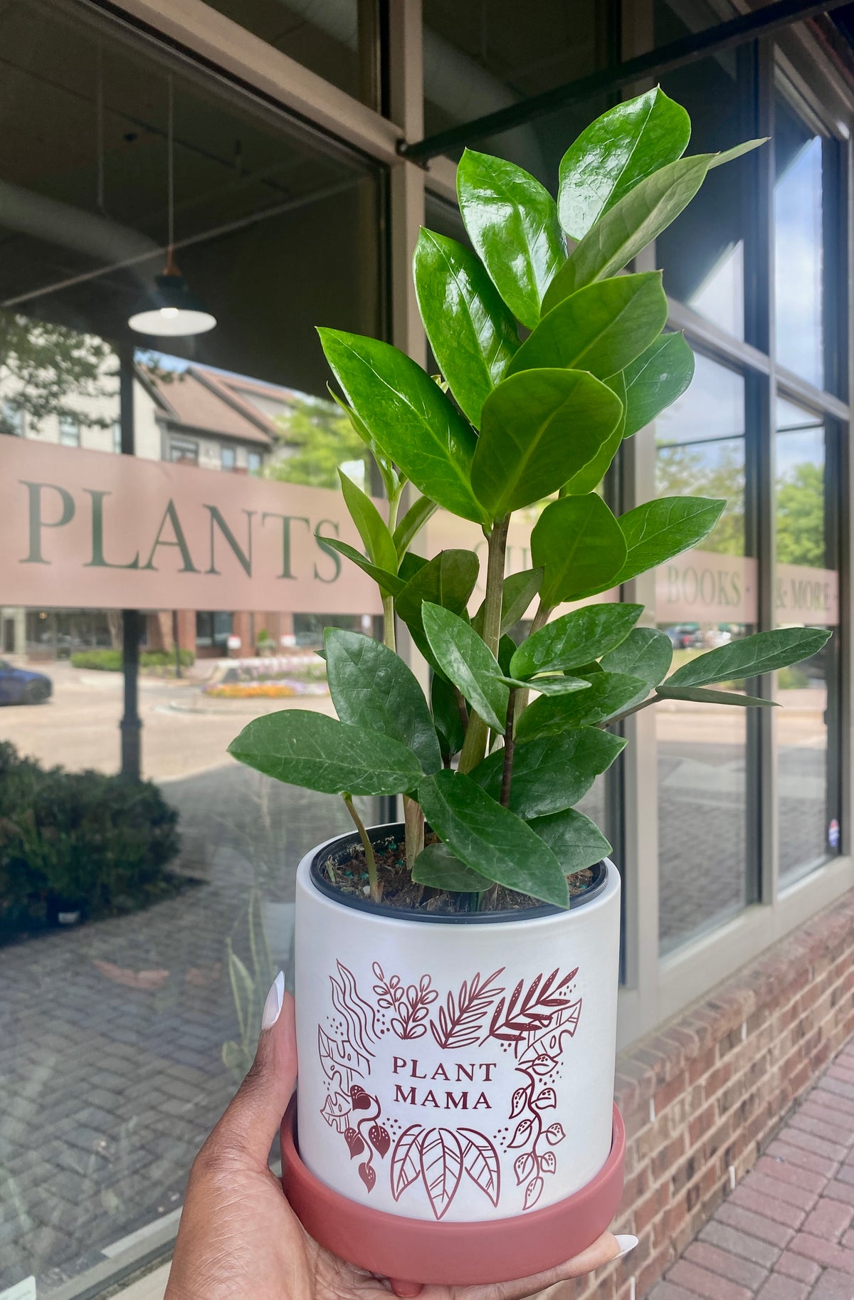 PLANT MAMA POT