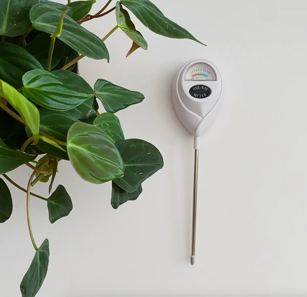 Moisture Meter