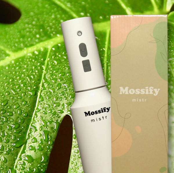 Mossify Mistr