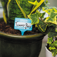 Plant Name Badges