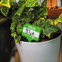 Plant Name Badges