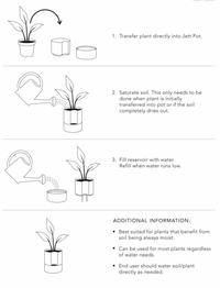 Self-Watering Pot