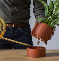 Self-Watering Pot