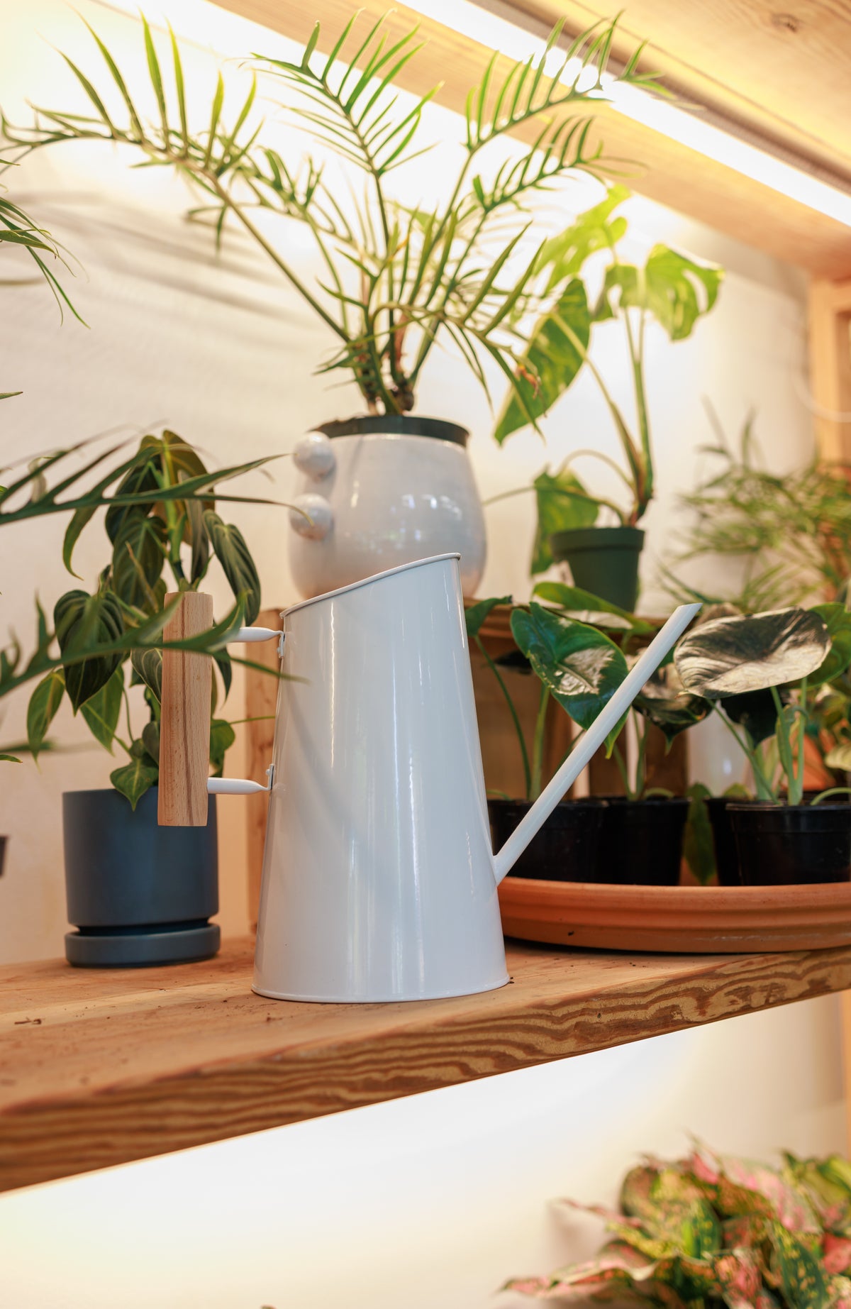 Watering Can for Indoor Plants