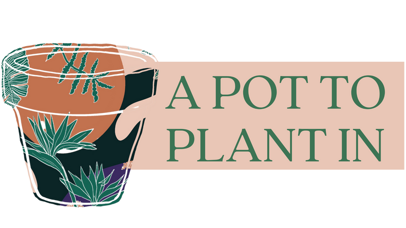 A Pot To Plant In Plant Shop 
