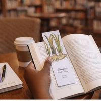 Biblioscents: Fragrant Bookmarks to Deepen the Reading Experience