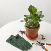 Autograph Clusia Rosea