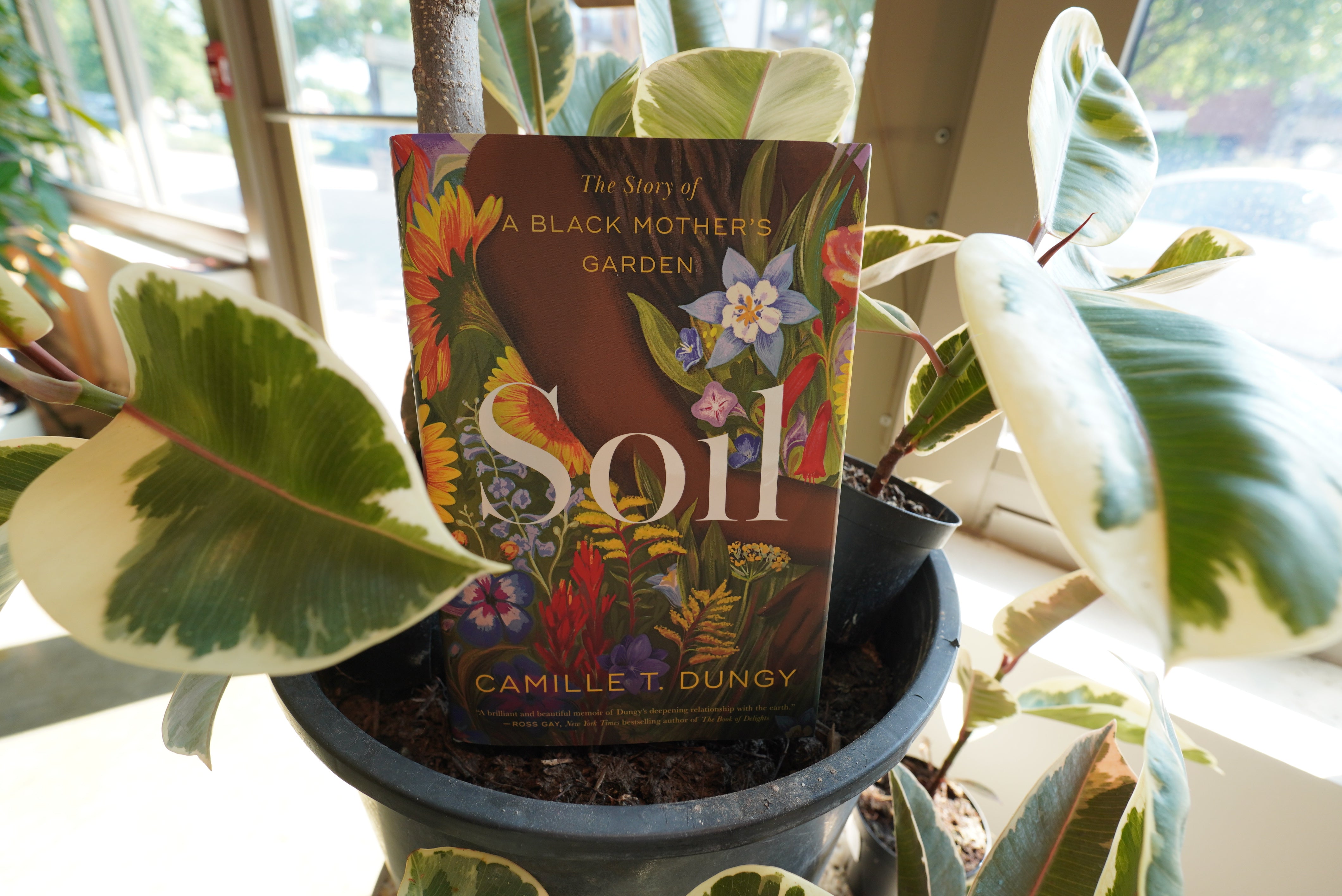 Soil by Camille T. Dungy