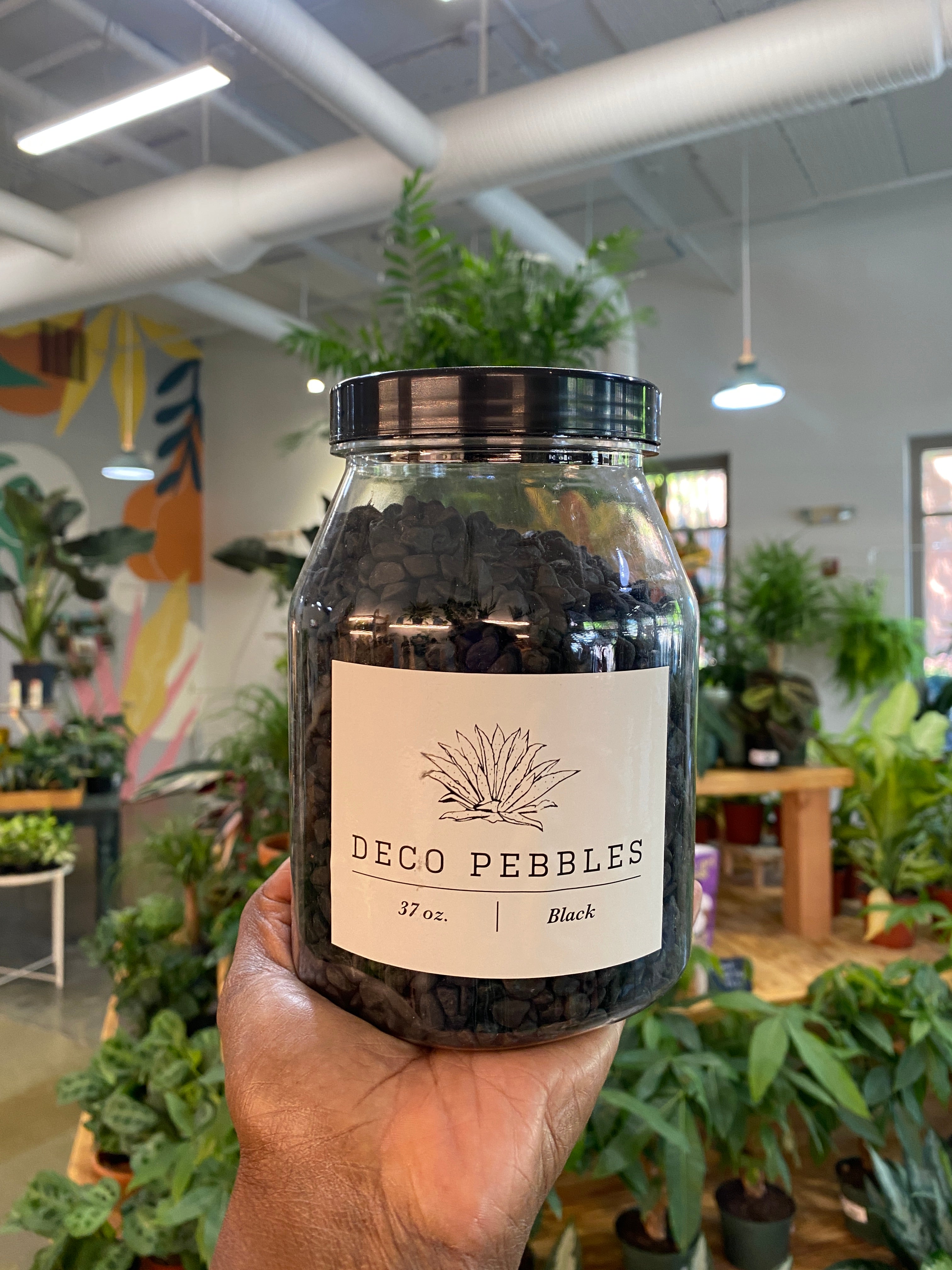 BOTANICAL DECOR – A Pot to Plant In