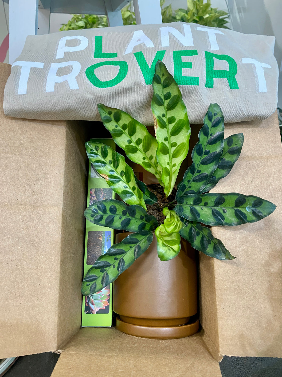 EARTH MONTH BUNDLE
