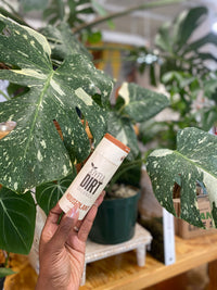 Joyful Dirt Organics - Houseplant