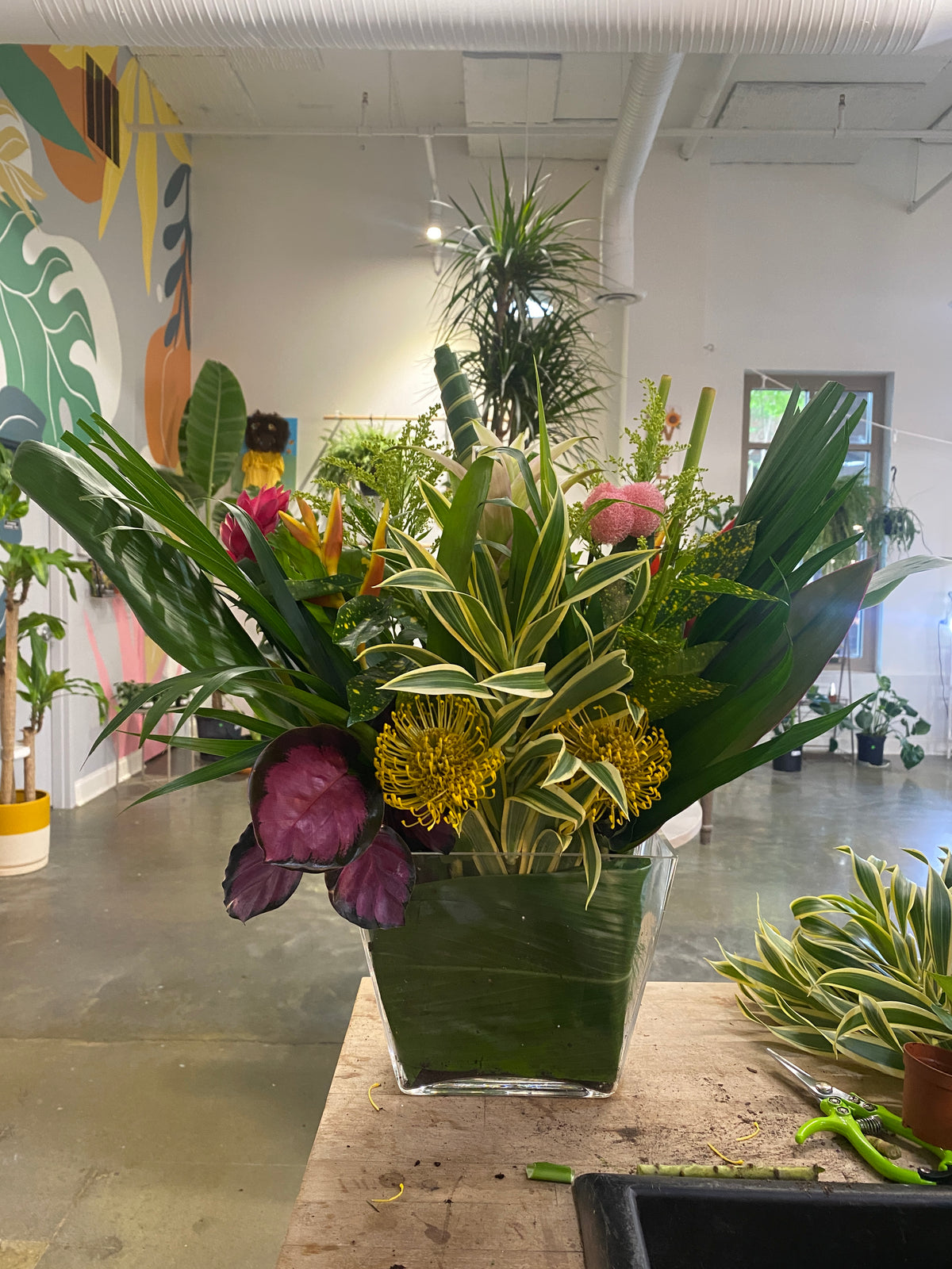 Plant-Flora Arrangement (Lrg)