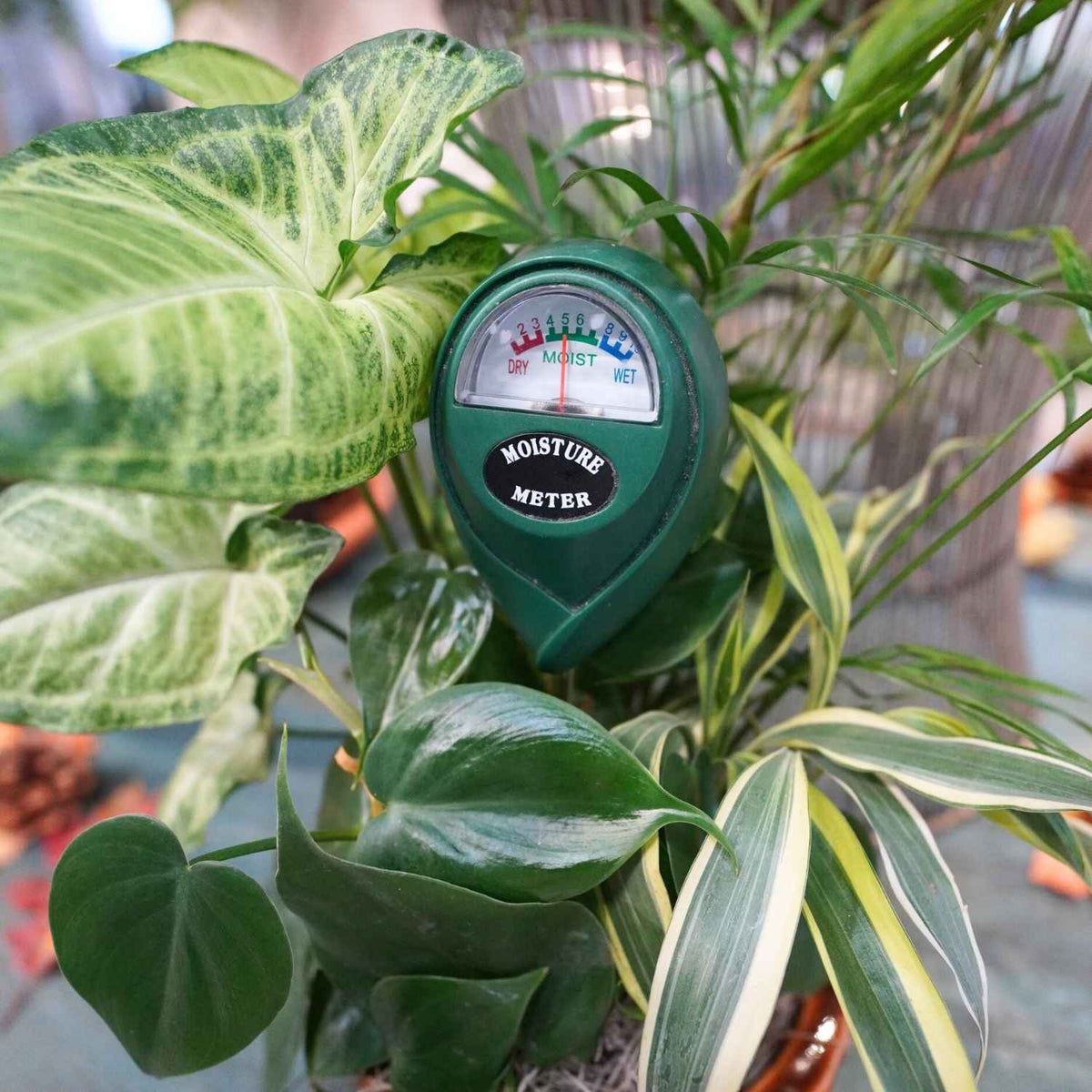 Soil Moisture Meter