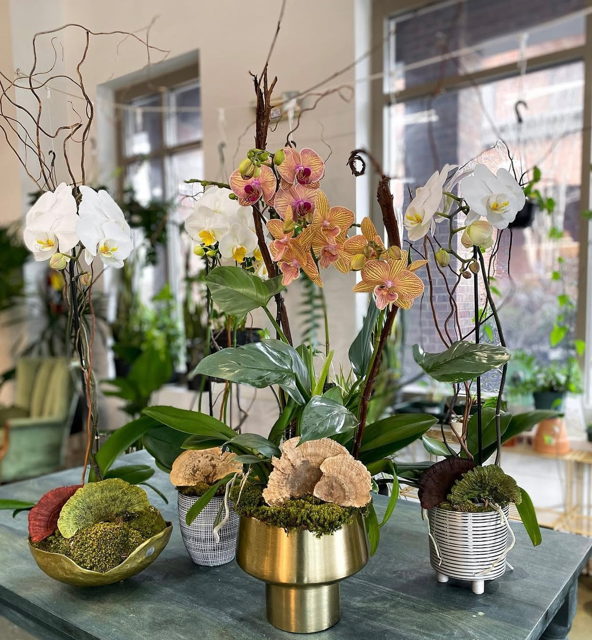 Orchid-arrangements Mother-day-flowers