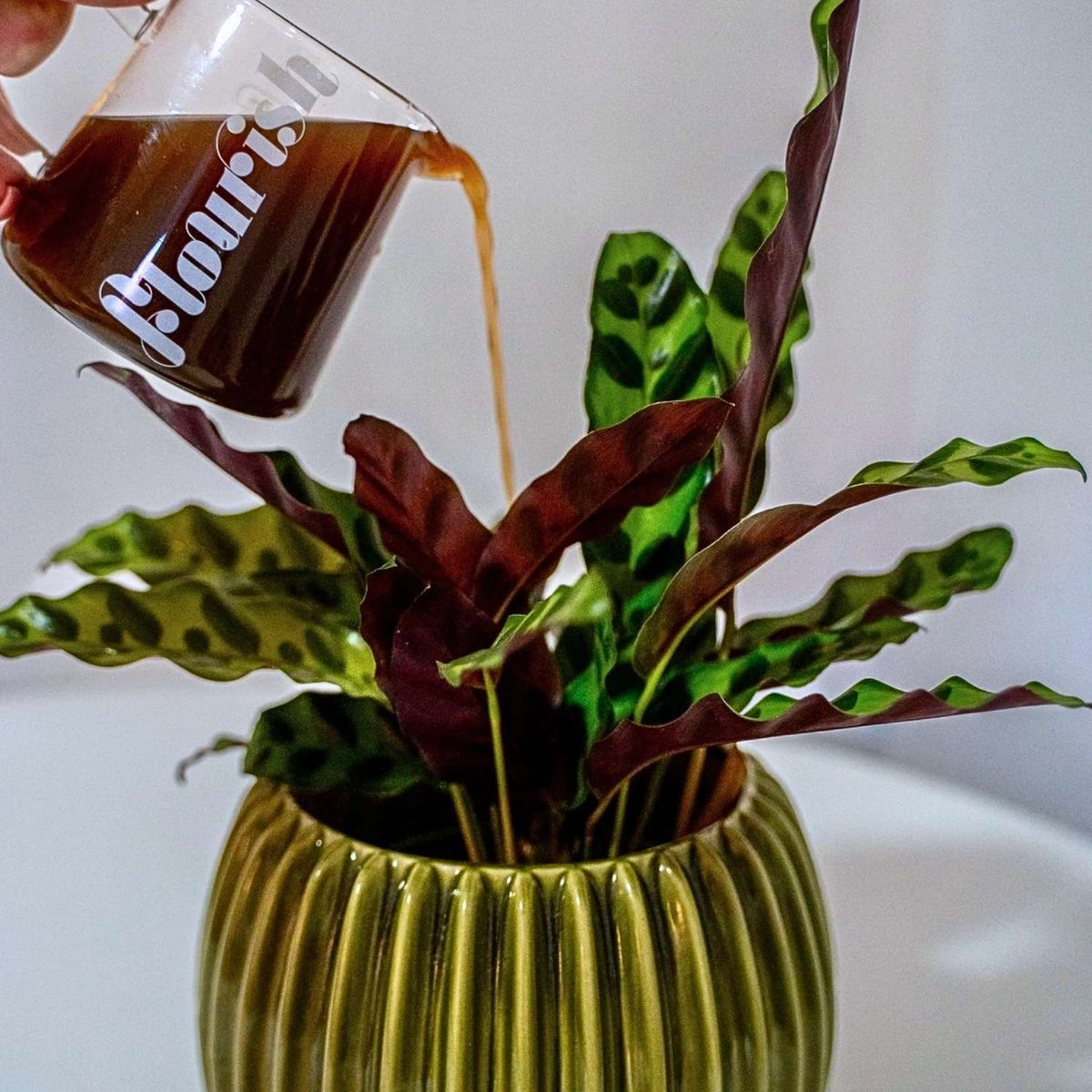 Flourish Organic Plant Food