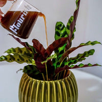 Flourish Organic Plant Food