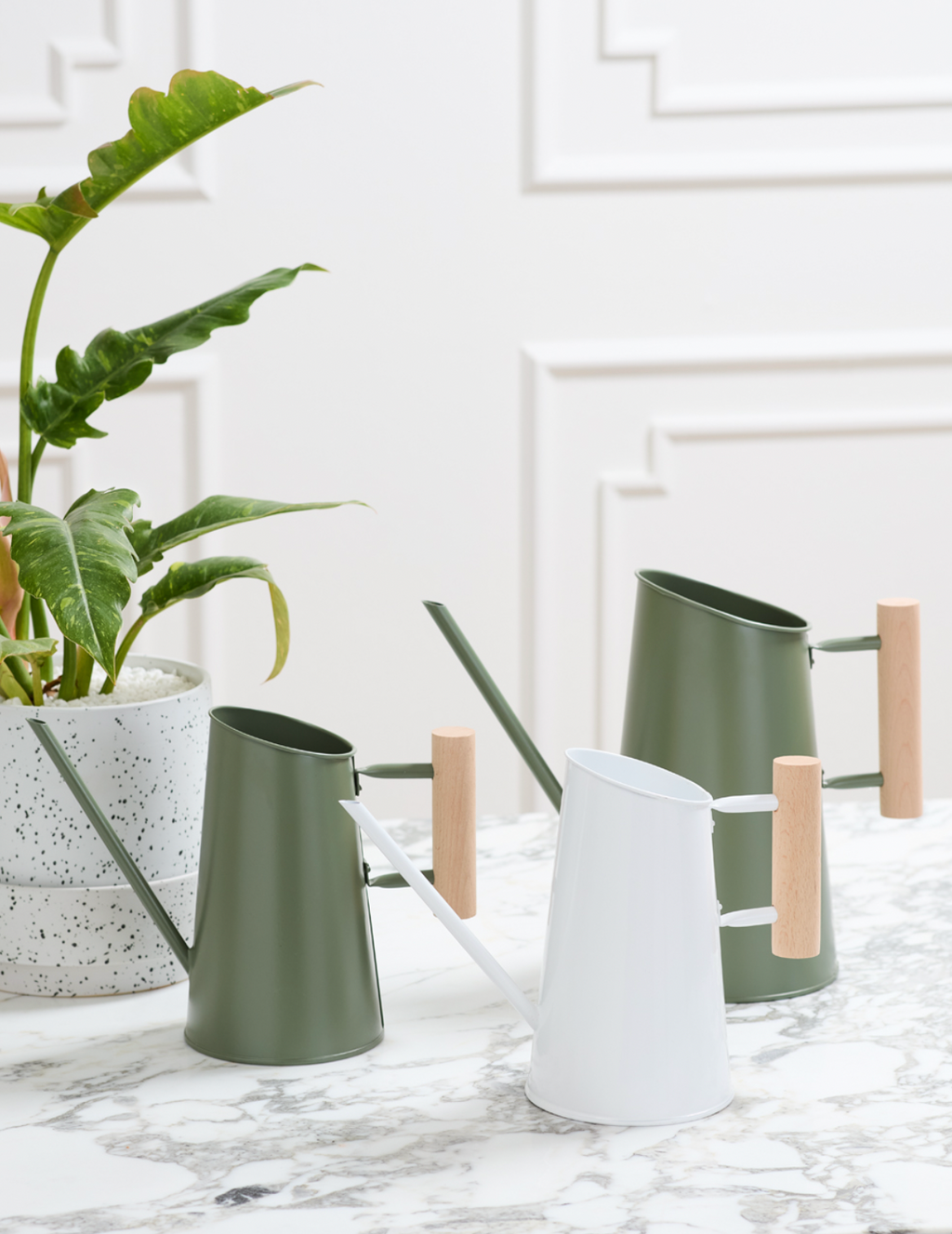 Watering Can for Indoor Plants – A Pot to Plant In