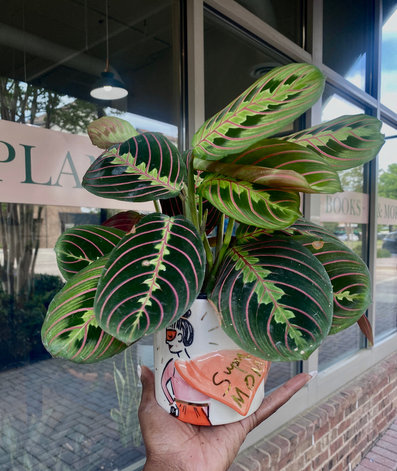 Super Mom Pot