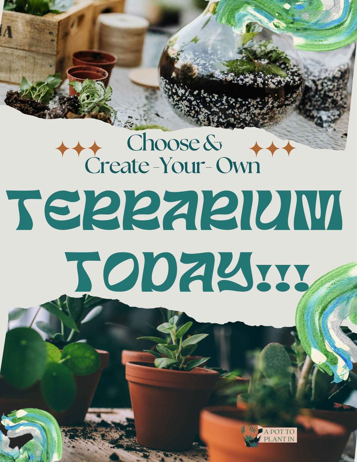 Build-A-Terrarium Workshop