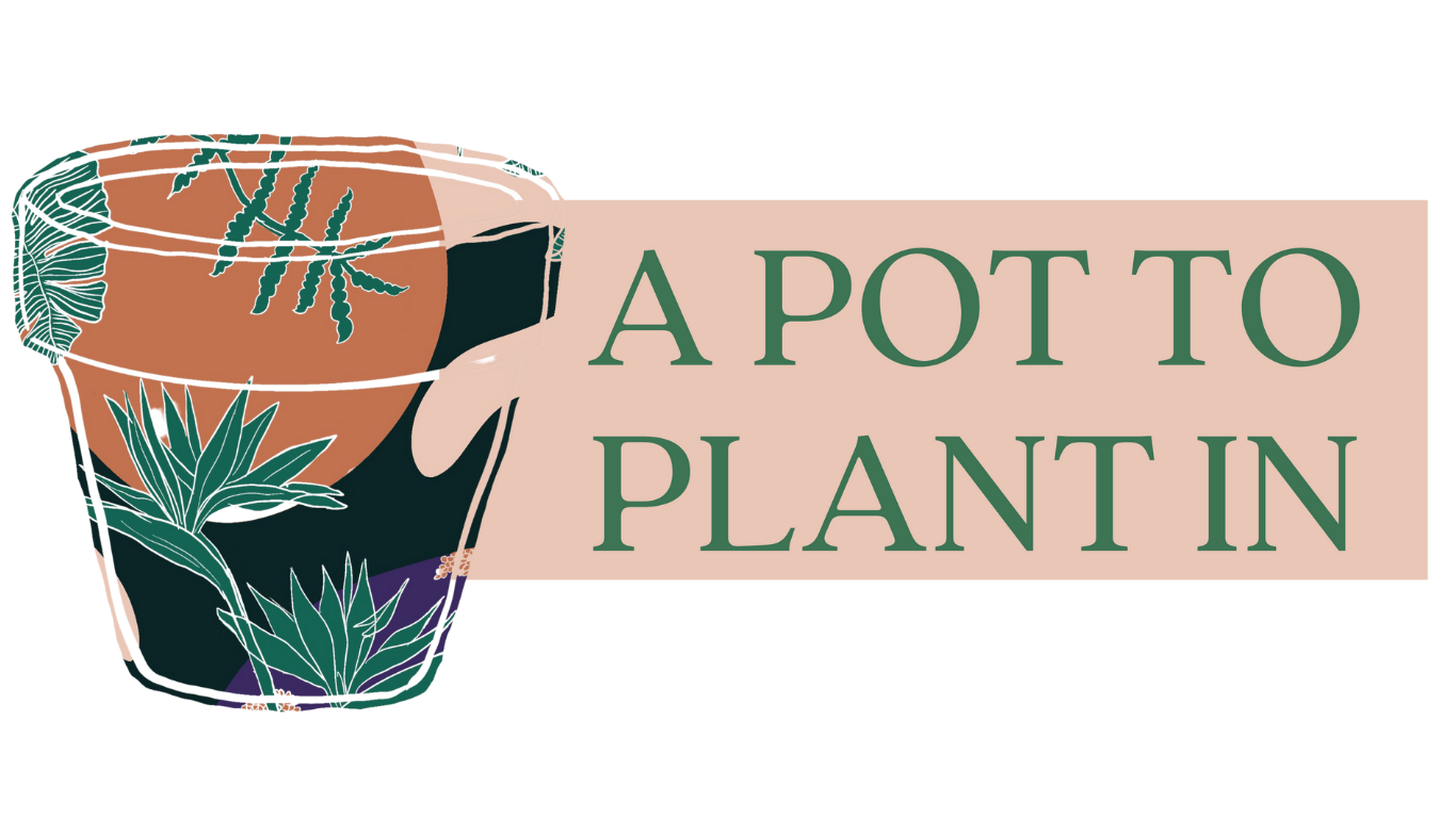 A Pot to Plant In