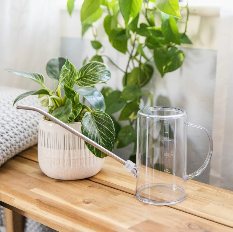 Houseplant Watering Can (Clear)
