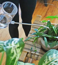 Houseplant Watering Can (Clear)