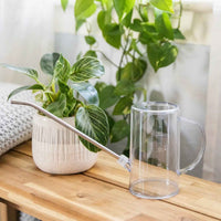 Watering Can for houseplants