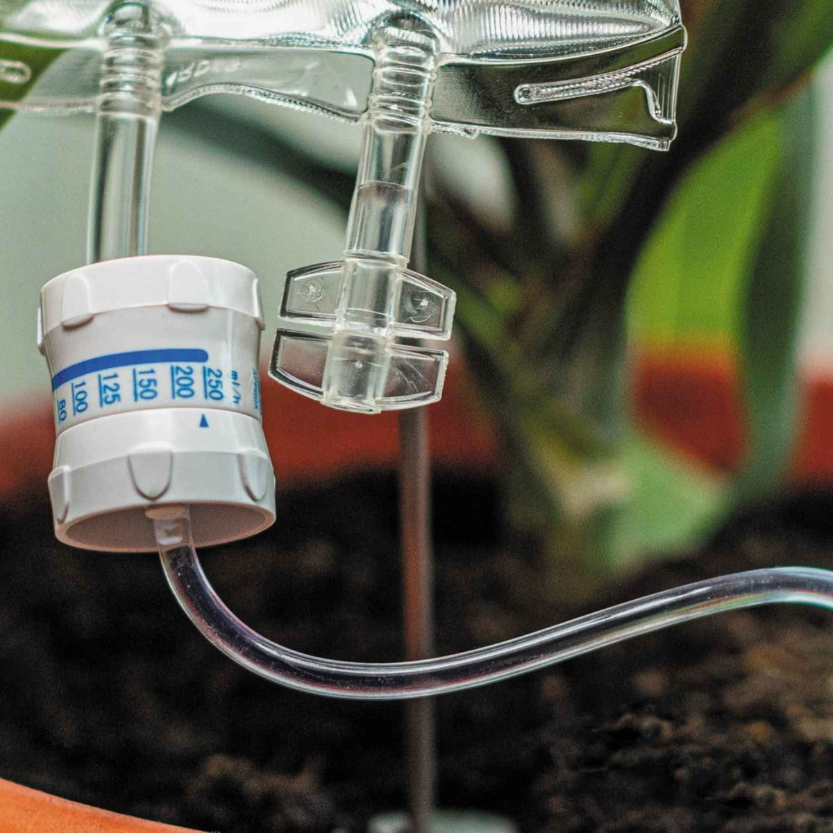 Plant Life Support