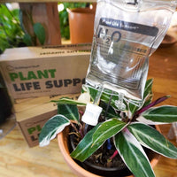 Plant Life Support