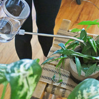 Watering Can for houseplants